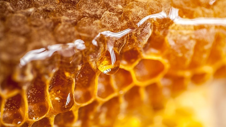 éltető gyógyító erdélyi méz