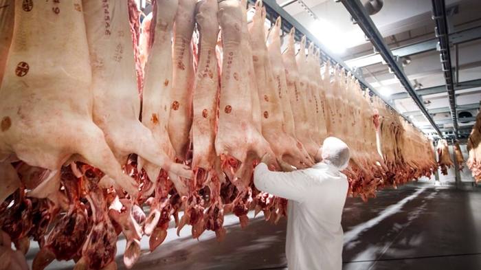 A Nyugat-Európai húsipar megszünne létezni a Kelet-Európai vendégmunkások nélkül!